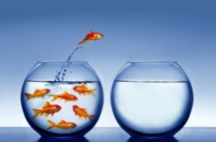 Si no utilizar Internet ya es noticia, elegir no utilizarlo es trending topic